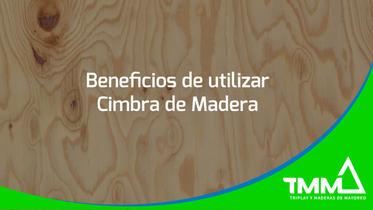 La Utilización de Cimbra de Madera y sus Beneficios frente a Productos Sustitutos